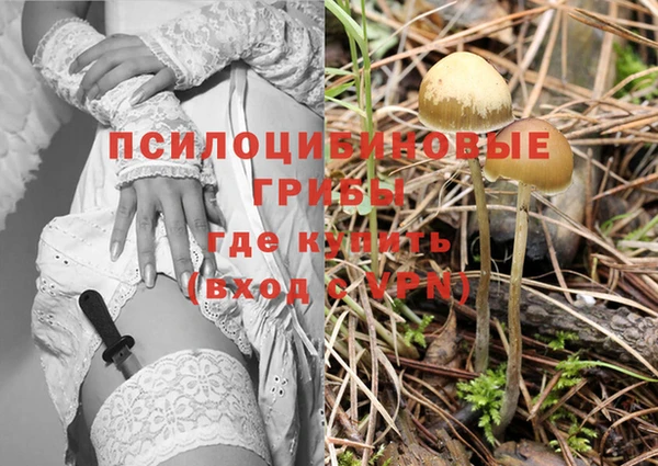 MDMA Михайлов
